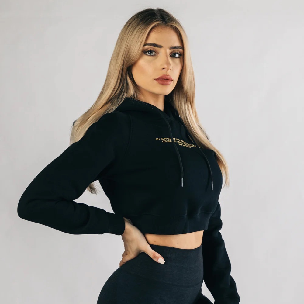 *** NEW***Alphalete CROP HOODIE Size S